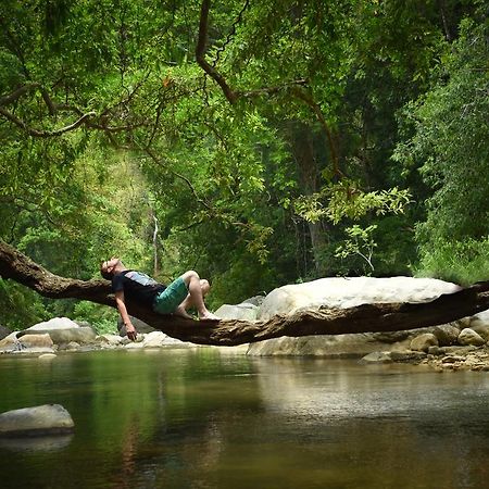 Ella Jungle Resort Kültér fotó