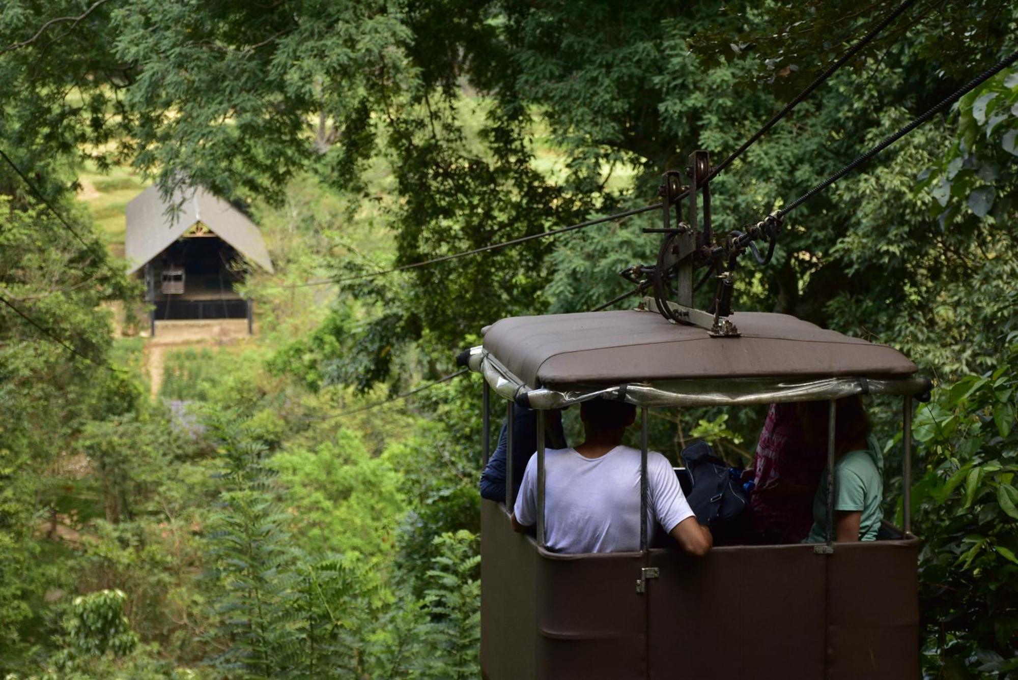 Ella Jungle Resort Kültér fotó