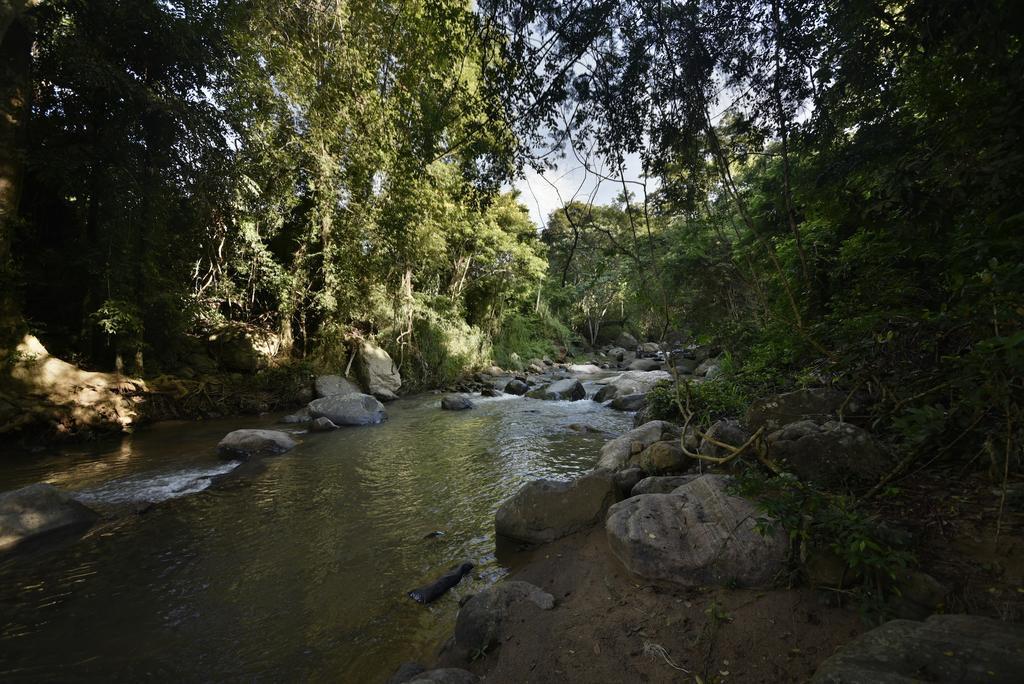 Ella Jungle Resort Kültér fotó