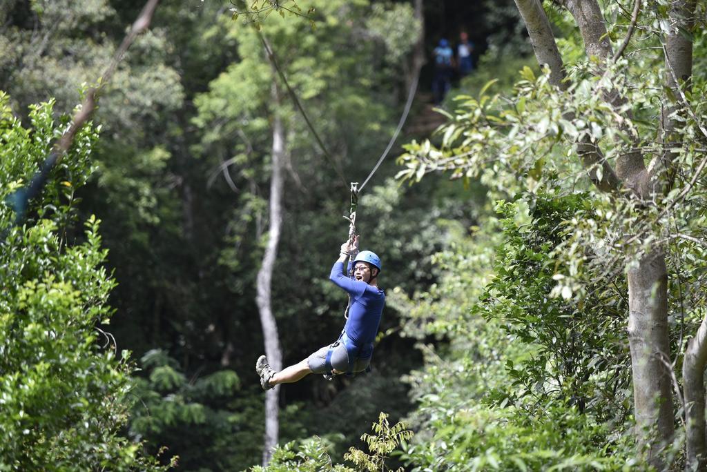 Ella Jungle Resort Kültér fotó